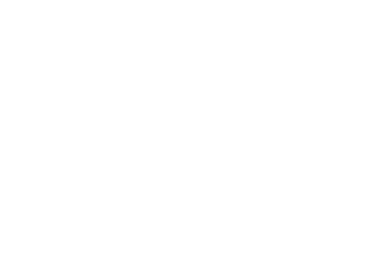 Malta Festival presents